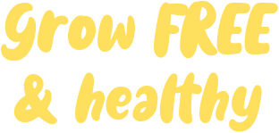 grow free & healthy grow free & healthy